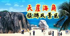 韩国a黄免费海南三亚-天崖海角旅游风景区